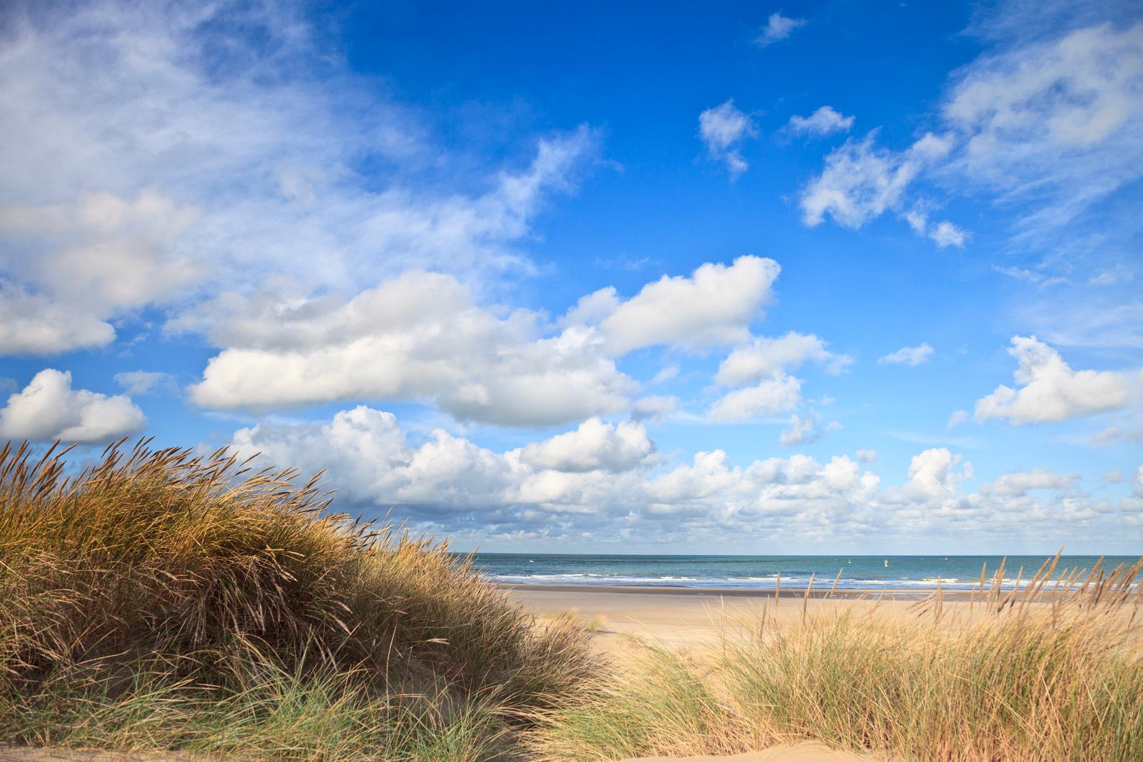 Dunkerque : plage et oyats dans les dunes