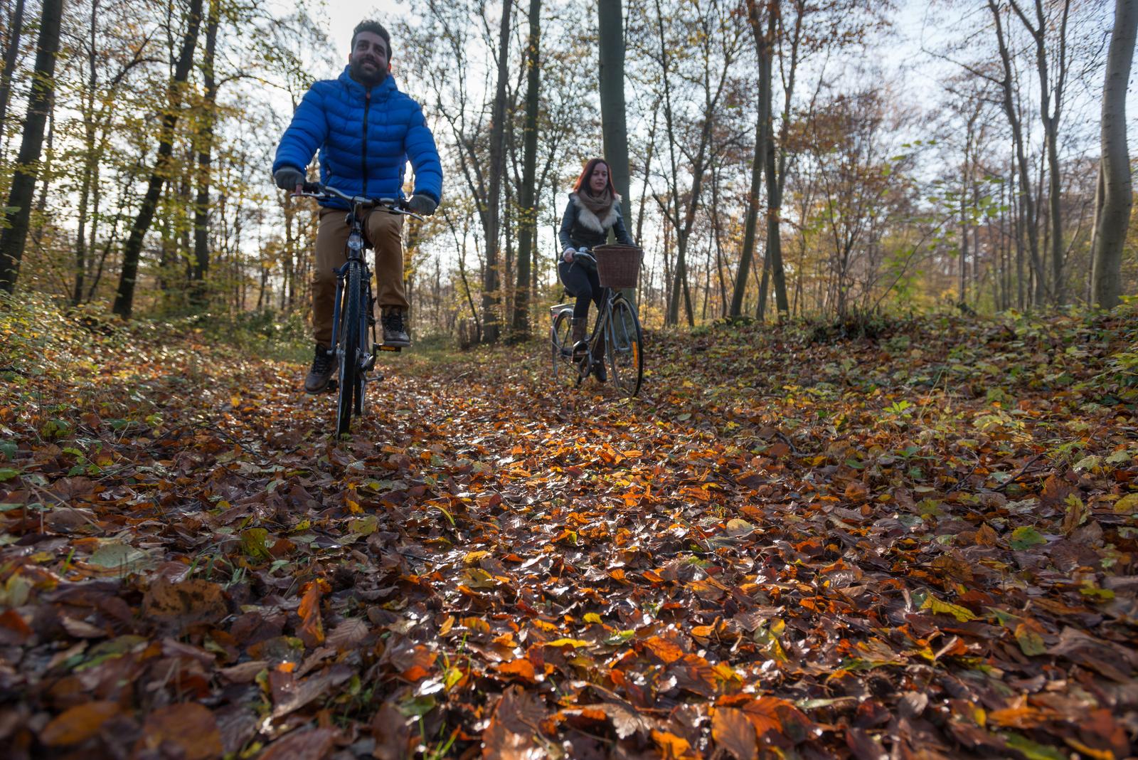 Forêt de Compiègne en automne : couple de cyclistes